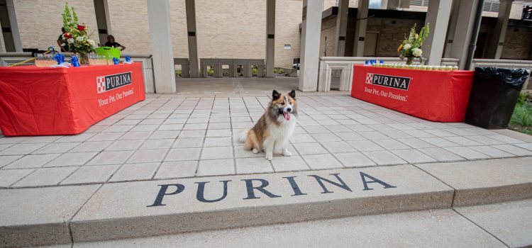 The Muny Announces Naming of Broadhurst Pavilion and Purina Plaza