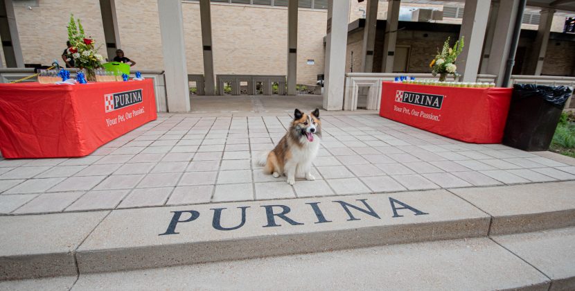 The Muny Announces Naming of Broadhurst Pavilion and Purina Plaza