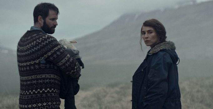 Mysterious ‘Lamb’ from Iceland is ‘Shear’ Brilliance