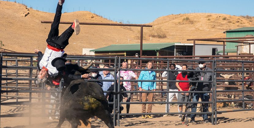 Merry Pranksters Back with Gross-Out Hijinks in ‘Jackass Forever’