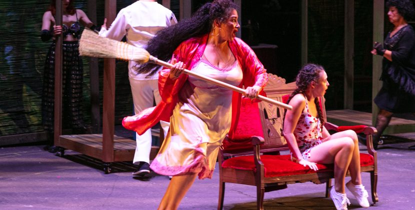 Nimble Ensemble Shines in Unconventional ‘The Rose Tattoo’