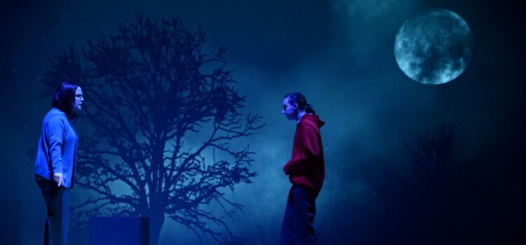 Sightlines: Hawthorne Players’ ‘Curious Incident’ Shows The Artistic Possibilities That Can Happen Here