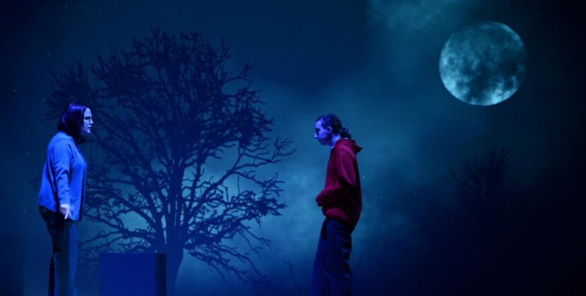 Sightlines: Hawthorne Players’ ‘Curious Incident’ Shows The Artistic Possibilities That Can Happen Here