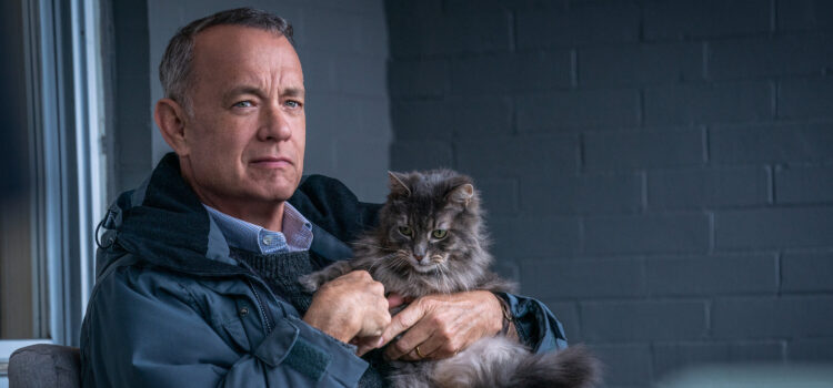 Tom Hanks Is Classic Grump in Sentimental ‘A Man Called Otto’