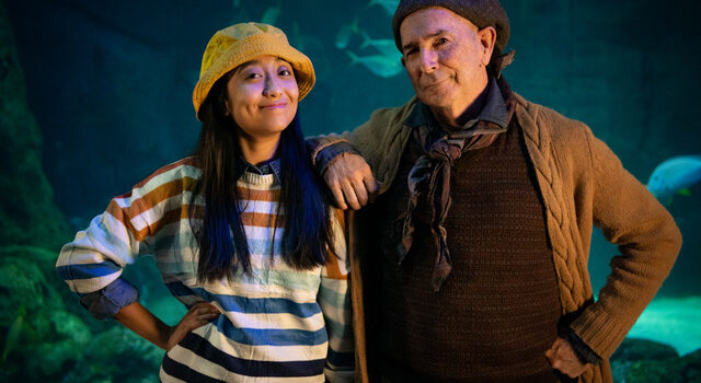 Metro Theater Company Postpones ‘Spells of the Sea’ to Feb. 10