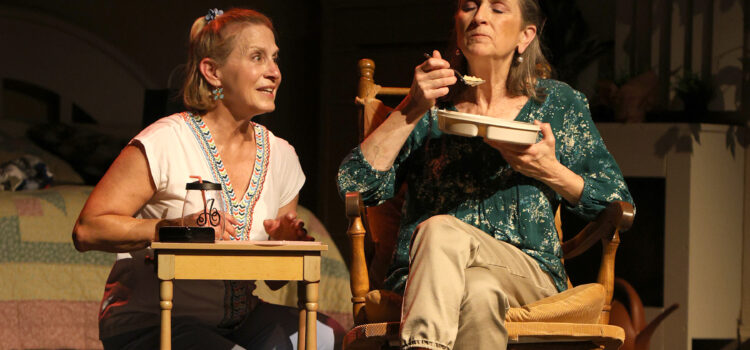 Spry Cast Distinguishes Stray Dog Theatre’s Lightweight ‘Ripcord’
