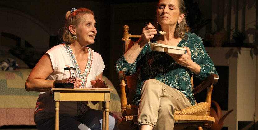 Spry Cast Distinguishes Stray Dog Theatre’s Lightweight ‘Ripcord’