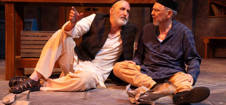 Two Fine Actors Rumble And Grumble in NJT’s Comical, Thoughtful ‘Two Jews Walk Into a War’