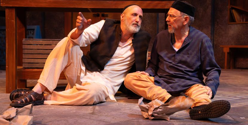 Two Fine Actors Rumble And Grumble in NJT’s Comical, Thoughtful ‘Two Jews Walk Into a War’